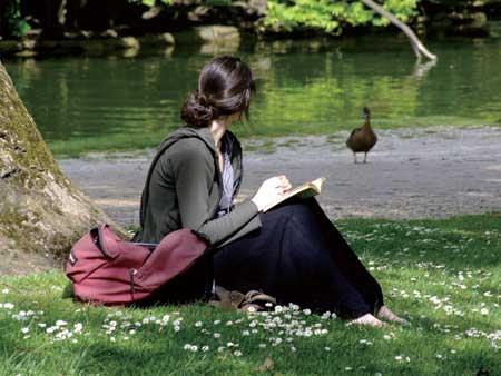 发现美作文小升初范文,小升初满分优秀作文范文大全图片