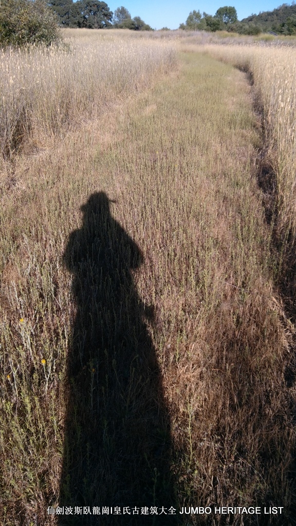 第3045回：人生一世草生一春，来如风雨去似微尘
