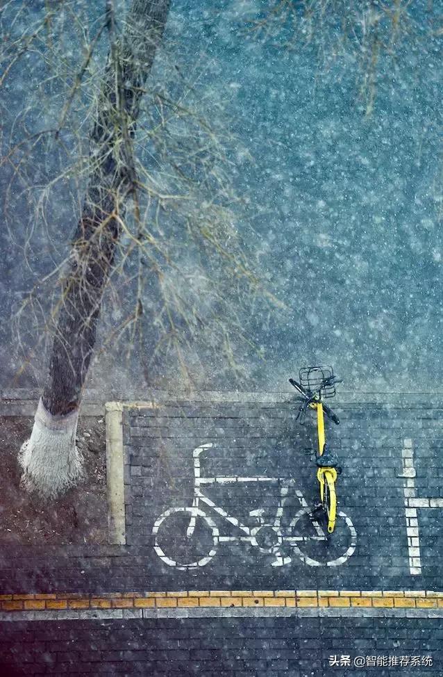 ofo最新现状,ofo最新资讯