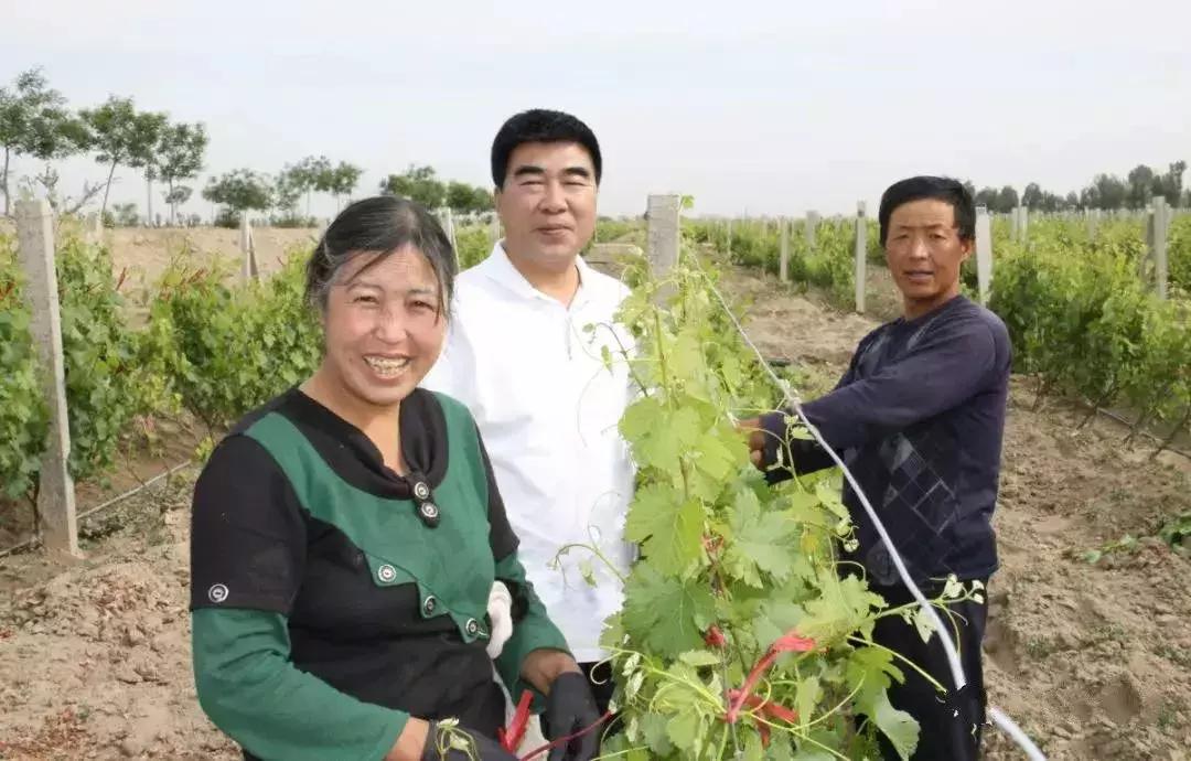 威龙葡萄酒董事长王珍海,威龙集团创始人王珍海