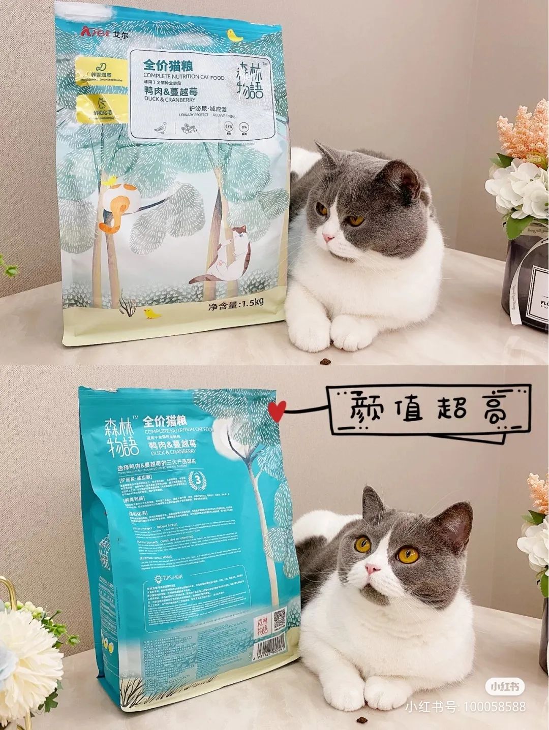 小红书推荐猫粮,猫粮小红书达人