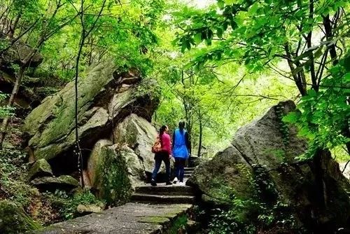 再过半个月，全国人民都将羡慕南阳