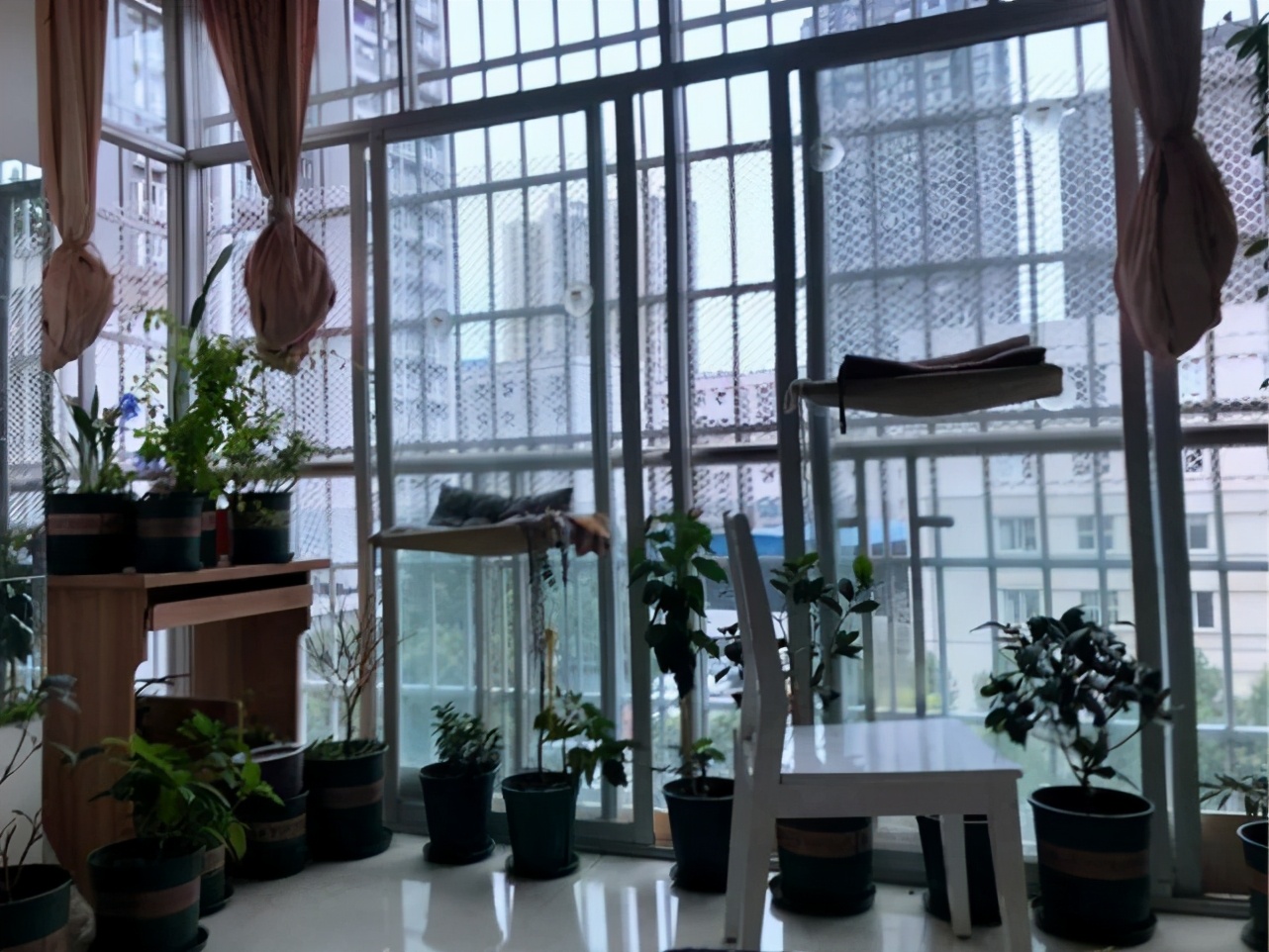 鐙眳鐨勯偅浜涗簨,鐙眳鍙戠敓鐨勯偅浜涗簨