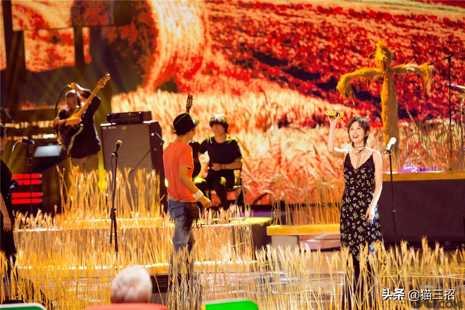 音乐匠人,音乐匠人无损歌曲