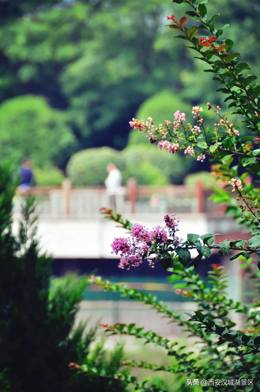 汉城湖旅游风景好看吗,冬日的汉城湖有多美
