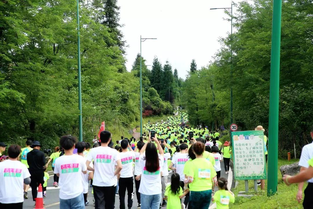 七里坪亲子跑,一场亲子健康跑触动了心灵深处