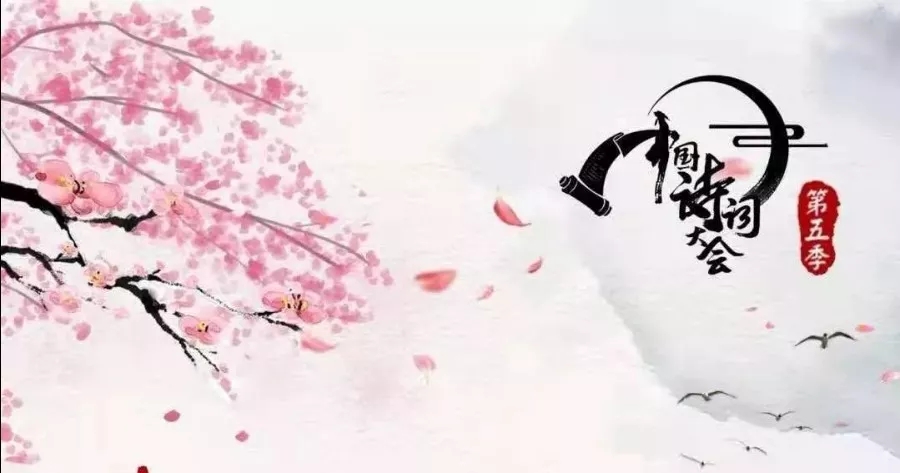 中国诗词大会董卿和龙洋开场白,中国诗词大会董卿龙洋开场篇