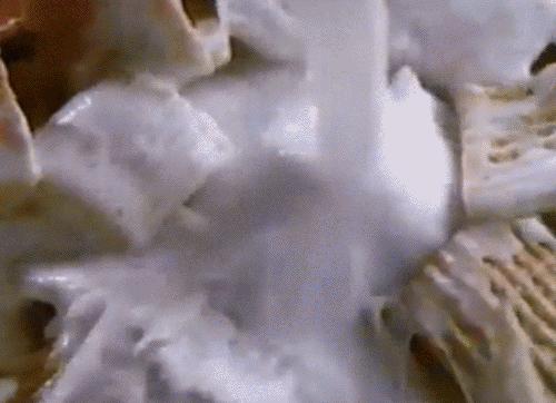 女性私护异味如何解决,女性私护异味要如何处理