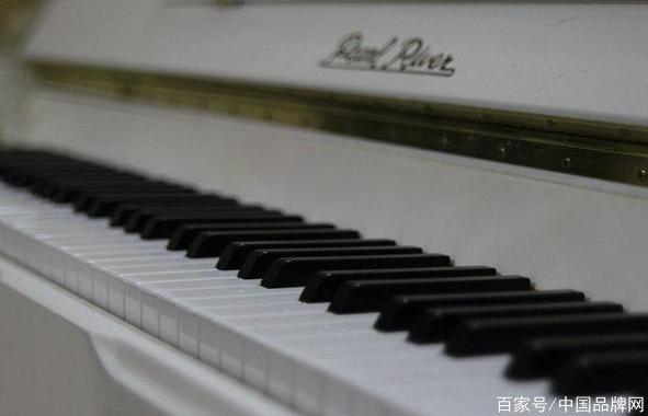 广东老字号品牌排名最全,广东十大品牌白酒排行榜第一名