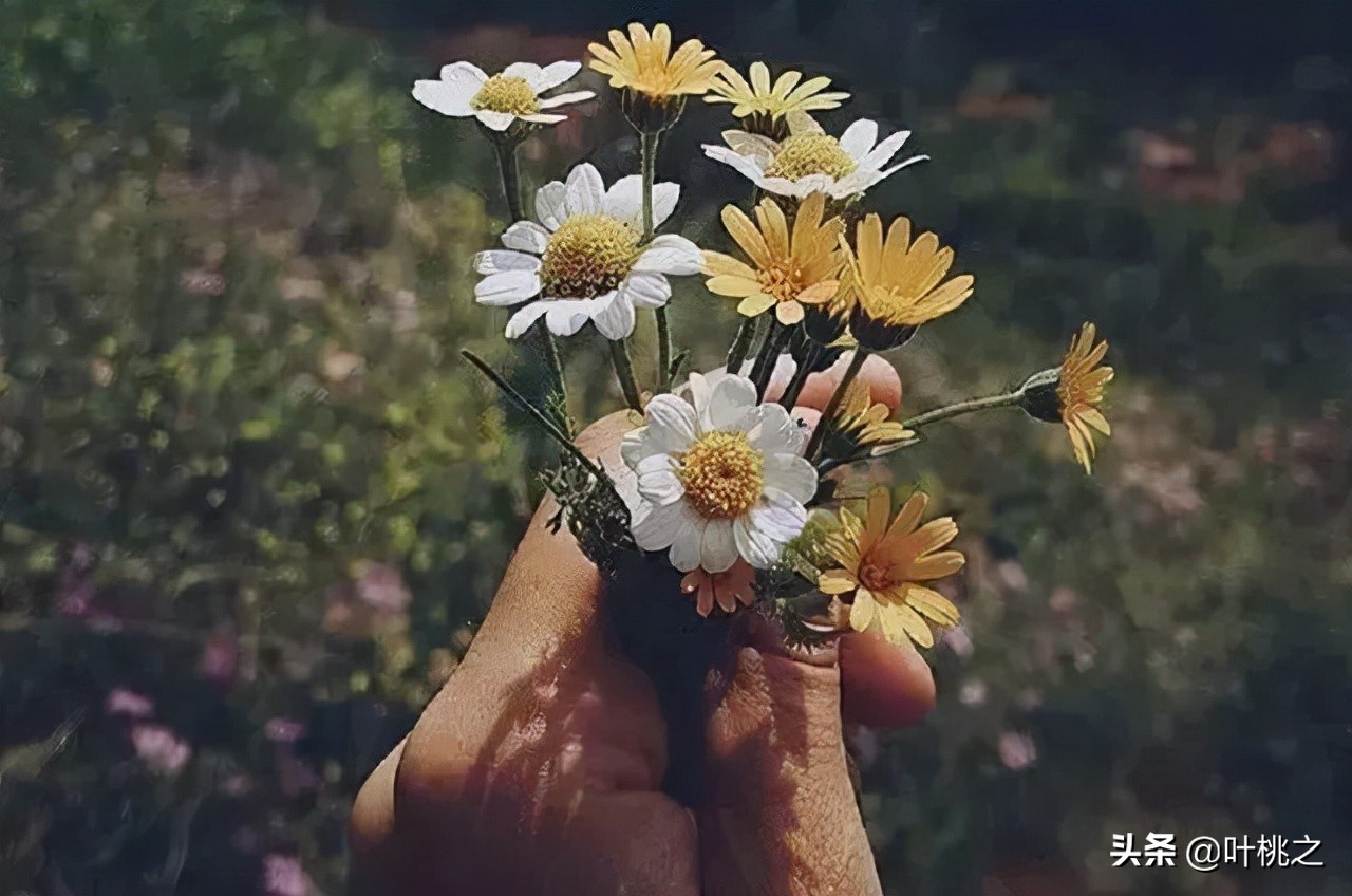 50岁人生才刚开始,真正的人生从50岁开始