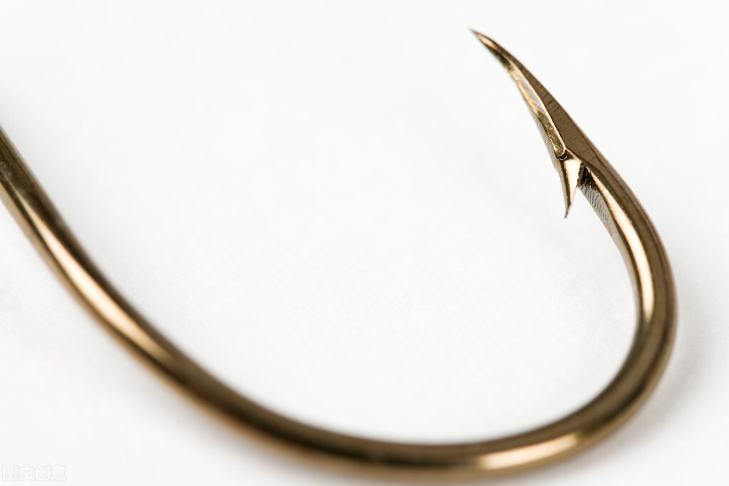 下雨过后钓鲶鱼最好的钓点,钓鲶鱼的神仙钓点在哪里