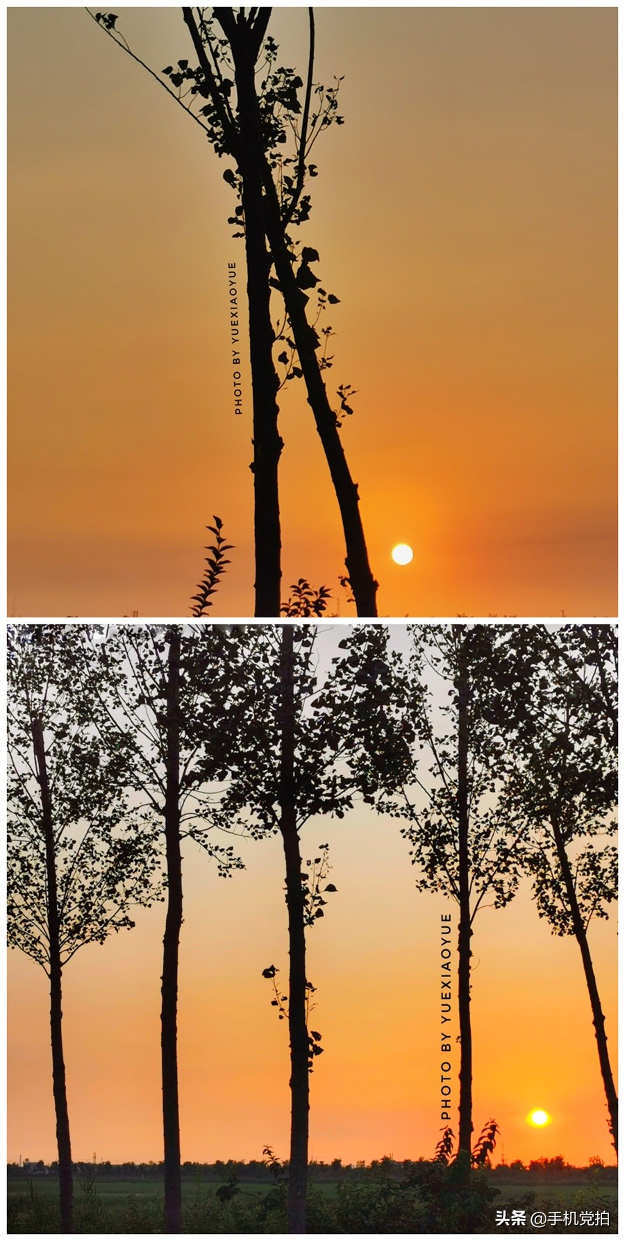 手机拍照逆光解决方法,手机拍照逆光怎么避免过曝