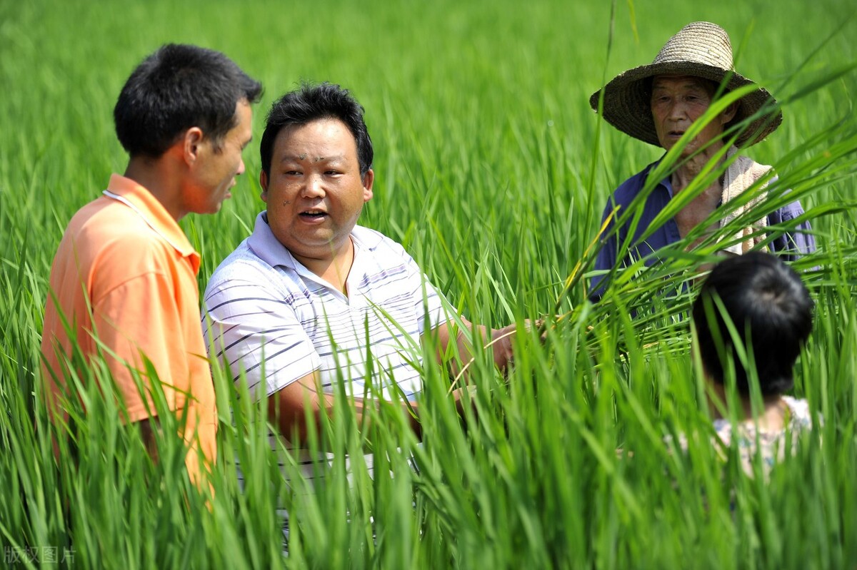 网购敢卖假农药吗,网购农药一百单