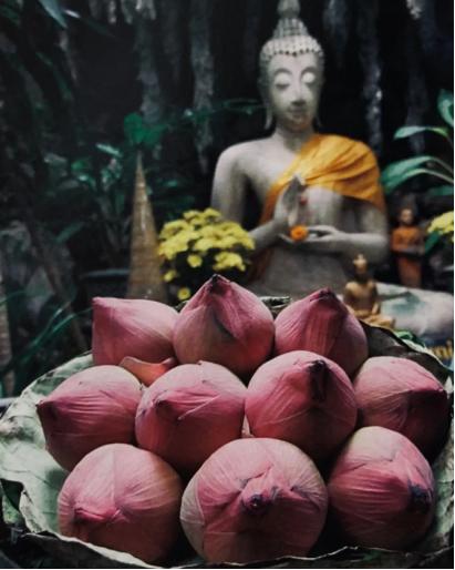 莲与佛的关系,佛教与释迦牟尼的关系