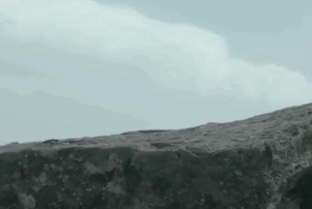 小米1到4代跑鞋,小米跑鞋最新款