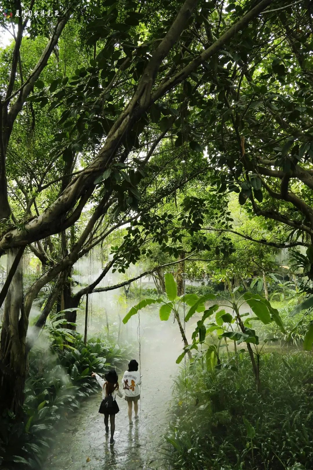 厦门婚纱拍摄地方推荐,旅游婚纱摄影推荐厦门