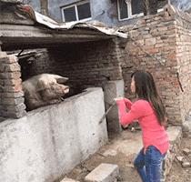 搞笑gif图妹子你这智商真是堪忧啊,妹子超搞笑gif