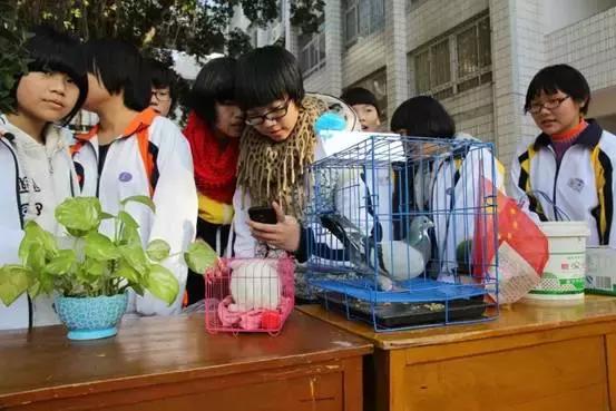 福州杨桥中学排名,福州杨桥中学好还是十八中好