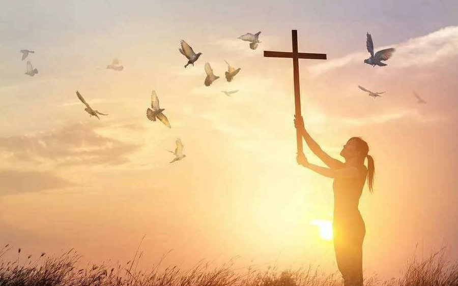 1996年莽山烙铁头蛇,莽山烙铁头被盗事件