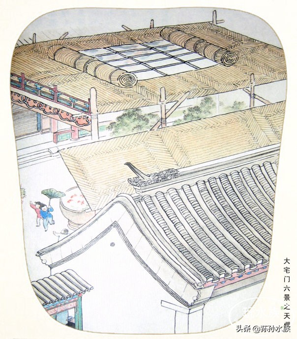 古法养金鱼全攻略,古法养金鱼开缸