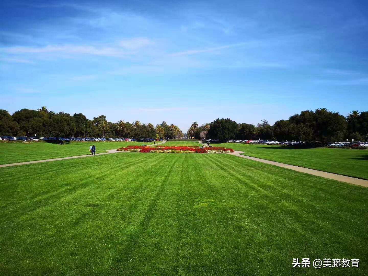 托马斯阿奎那斯学院有多强,托马斯阿奎那简介