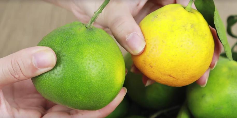 橘子甜不甜看这里就知道,橘子甜不甜看这几点