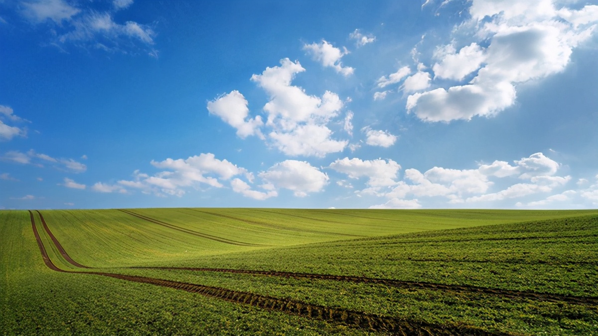 诗经起名男孩名,诗经名字有涵养的男孩