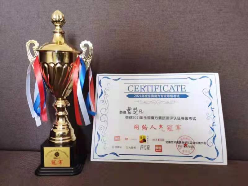 全国魔方素质测评证书,魔方素质认证考试