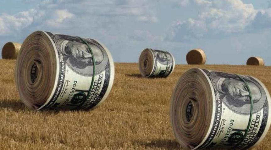 最长寿的灯泡,世界最长寿灯泡亮了多少年