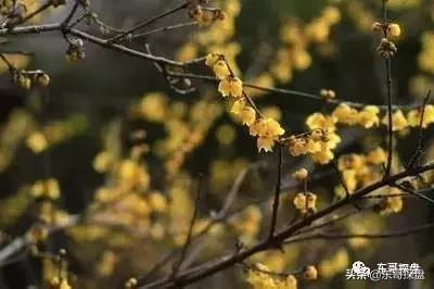 郑州金水区紫檀华都北院房价,郑州紫檀华都北院值不值得入手