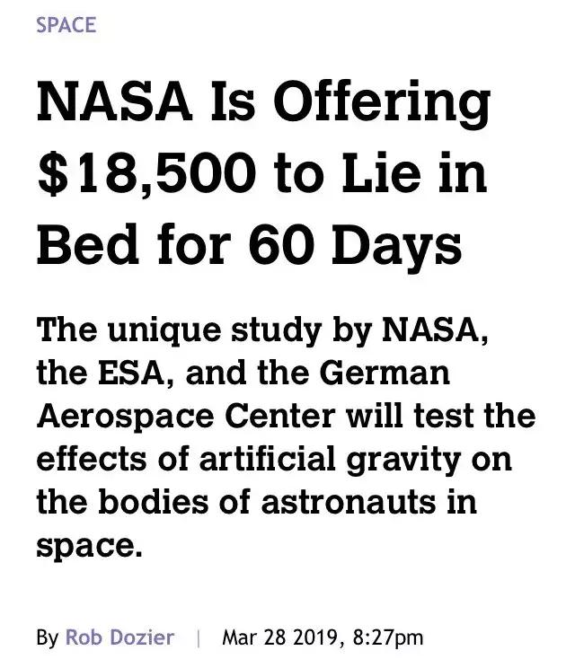 真正的躺赚日入300,躺着就能赚钱的工作月薪8万