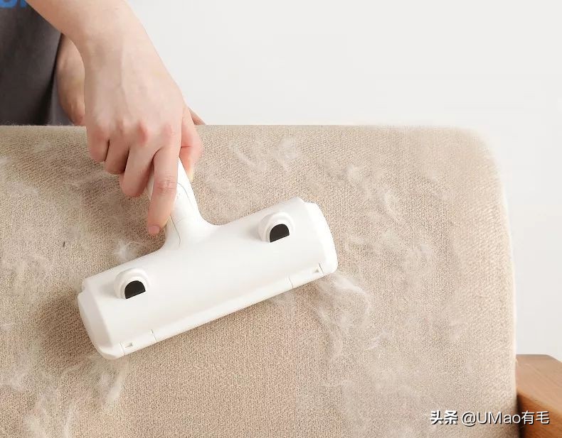 猫梳子去毛神器,去猫毛神器哪个最好