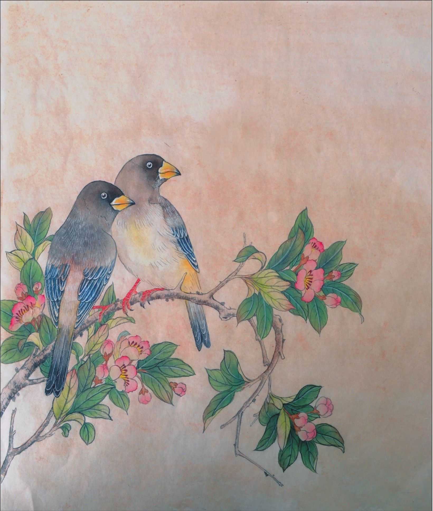 工笔画蜡嘴鸟的染色步骤,工笔画入门教程步骤图勾线