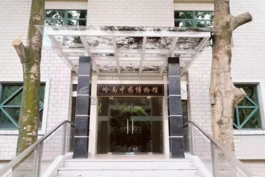 广东省的优秀高校,广东省优秀院校