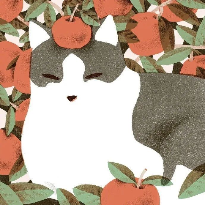 精妙的细节和色彩插画,插画作品想象力是最吸引人的色彩