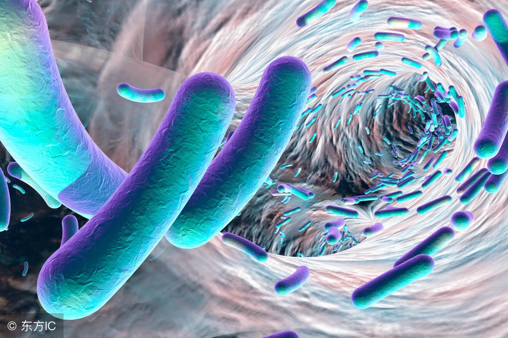 肺炎就该用头孢吗？多少人对抗生素仍然情有独钟