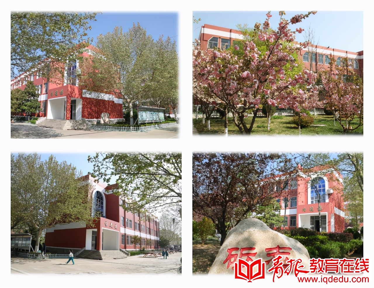 平度南京路小学2009,平度南京路小学桥