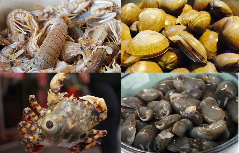东港海鲜都是有哪些,东港最全海鲜