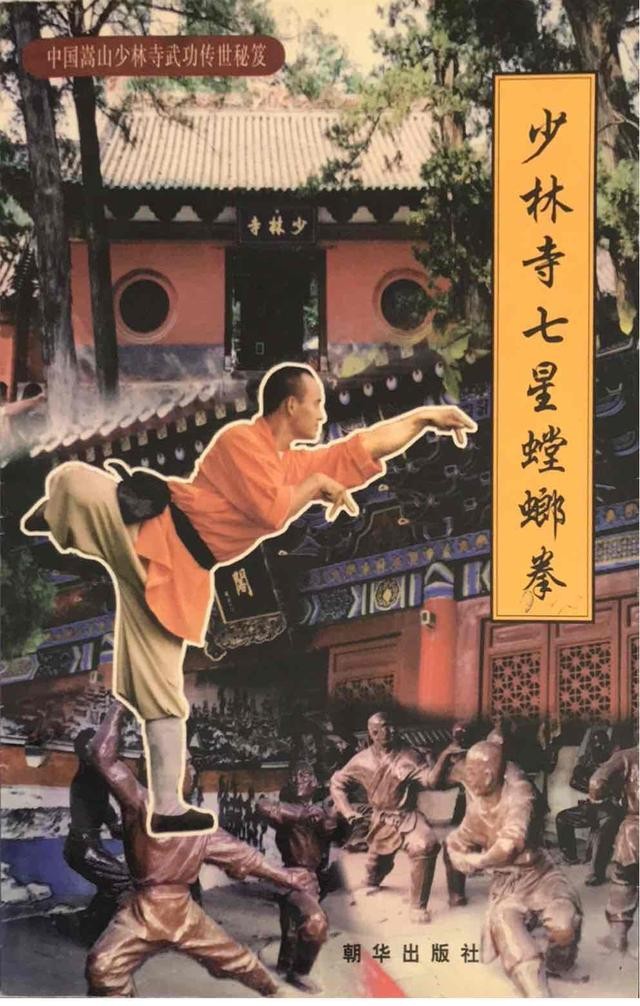 登封少林寺释永智罗汉院视频,河南嵩山少林寺释永信功夫