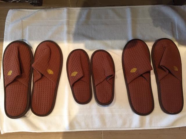 酒店体验版,酒店体验