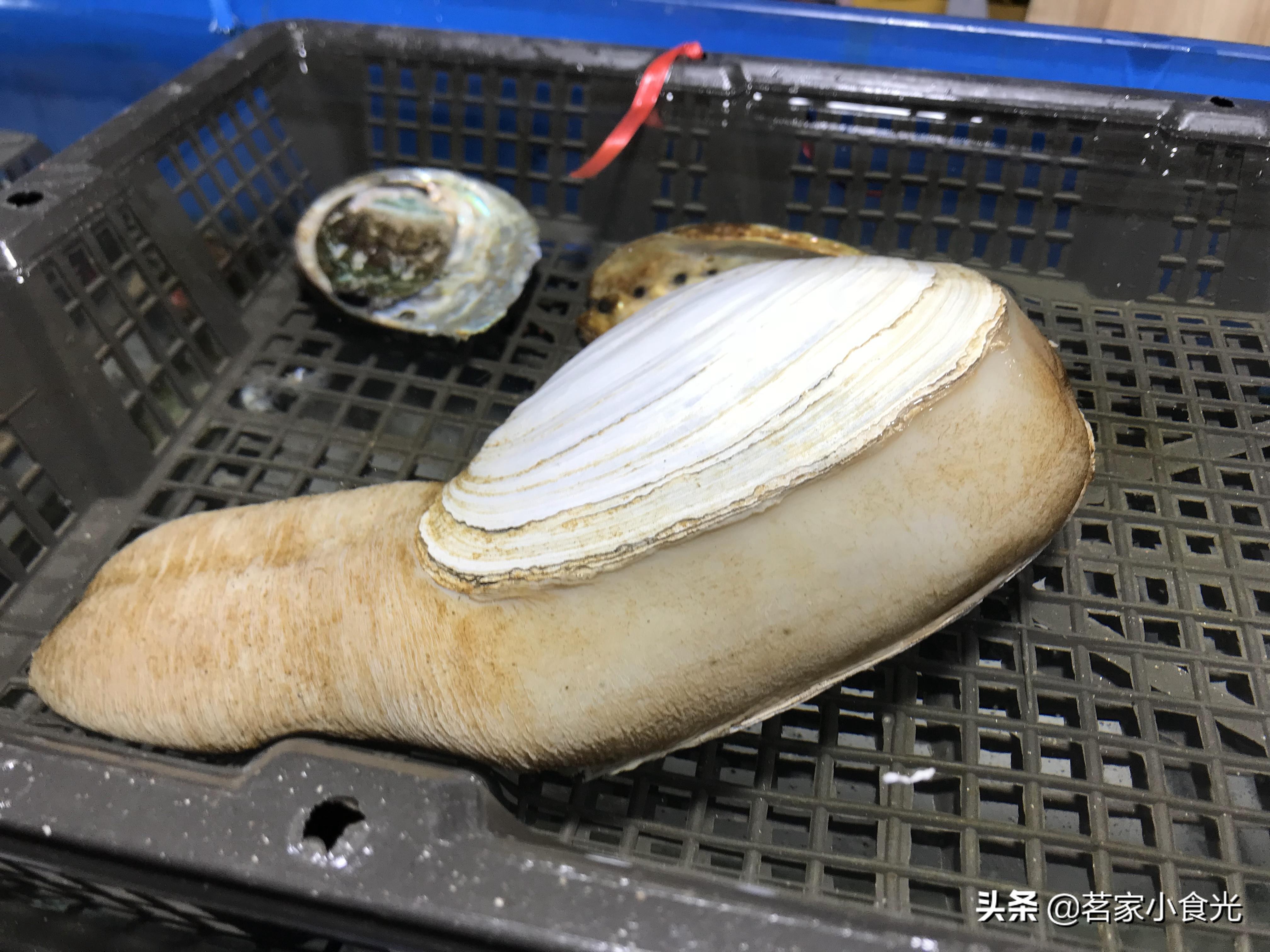 探店石家庄高端自助,吃喝玩转石家庄探店价格