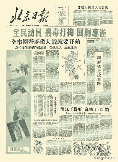 抓老鼠除蟑螂,灭四害捉老鼠