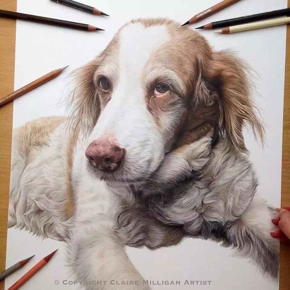 彩铅如何画得非常细腻,彩铅画的很好看零基础