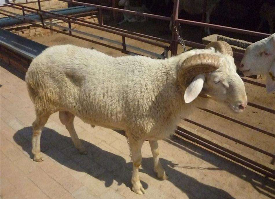 山东这几种产品都是国家地理标志保护产品，看看有没有你家乡的