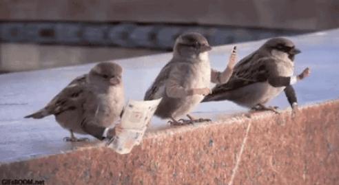 把车标全部抠掉违法吗,把车标抠下来清灰