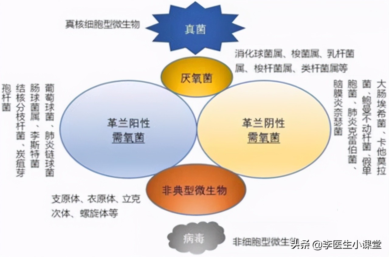 不同的阿奇霉素副作用不一样,阿奇霉素和头孢哪个消炎好一点