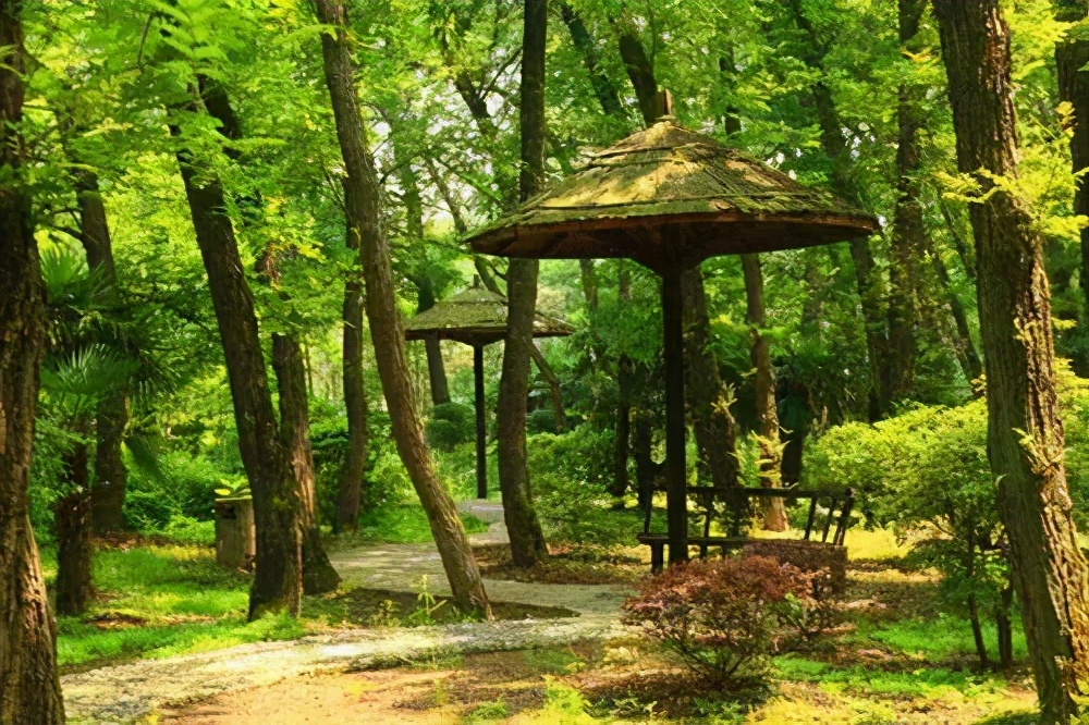 泸州旅游推荐景点大全最新,合肥旅游免费景区推荐