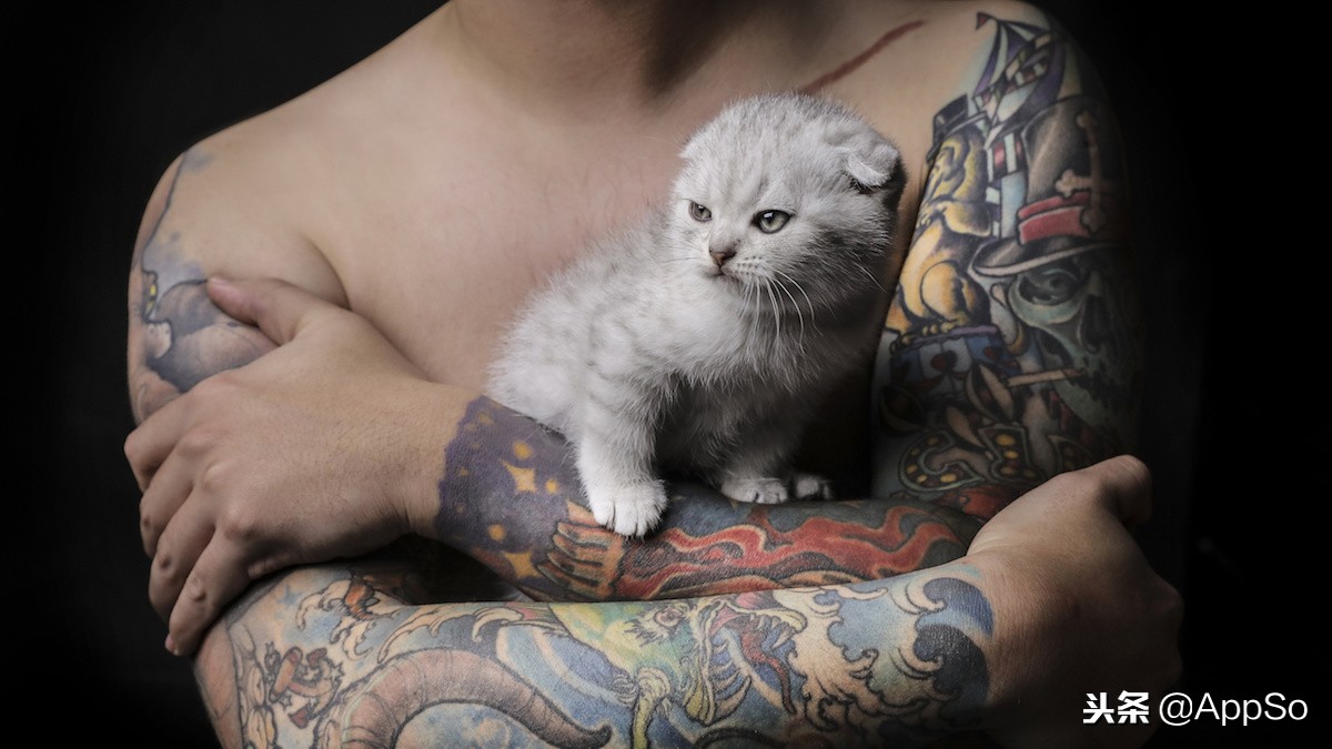 想纹身但是怕痛,想纹身去哪里找