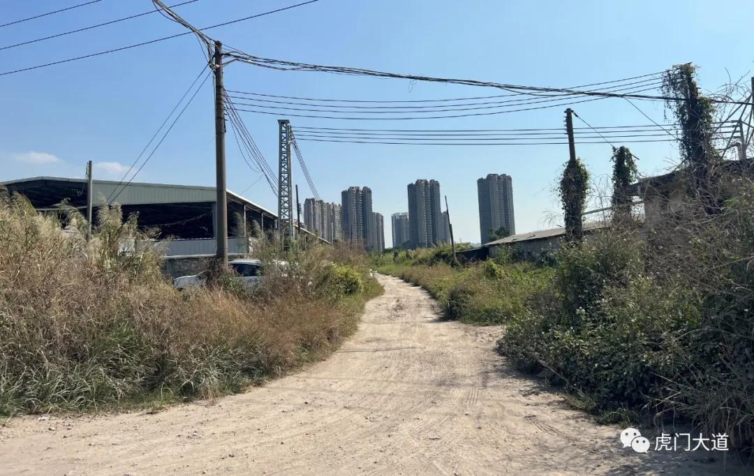 东莞新增过江通道规划,东莞过江通道规划图