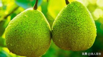 梨花开后落果怎么回事,梨花谢花后都蔫了什么情况